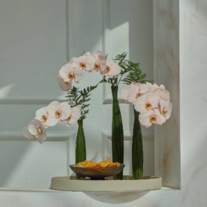 Minimal... (Without Chocolate/Sweets)