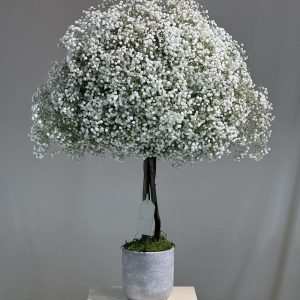 Tree Of Life - Medium