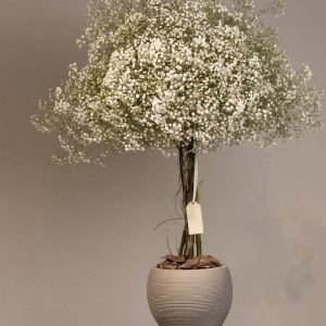 Tree Of Life - Large