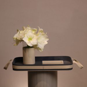 Harmony with Money Box...