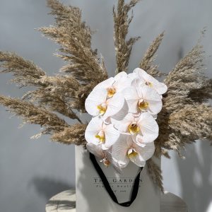Orchid...