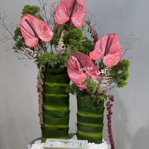 أمي جنة الدنيا