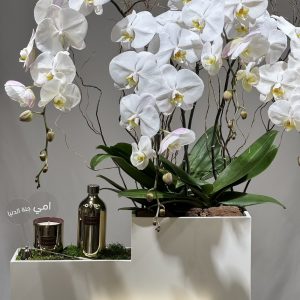 For My Mother With Diffuser...