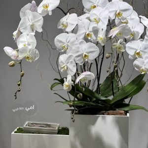 For my Mother With OUD...