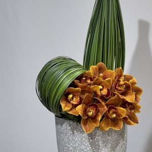 Cymbidium tower...