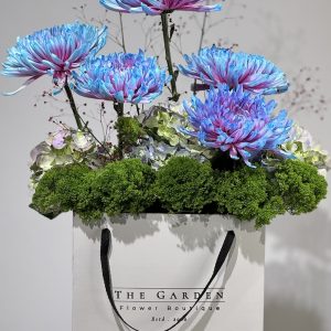 Chrysantemum blue...