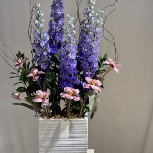 Delphinium...