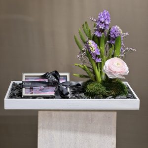 The Garden (money box)